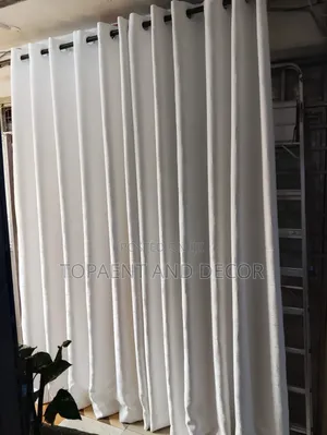 Ravishing White Window Curtains