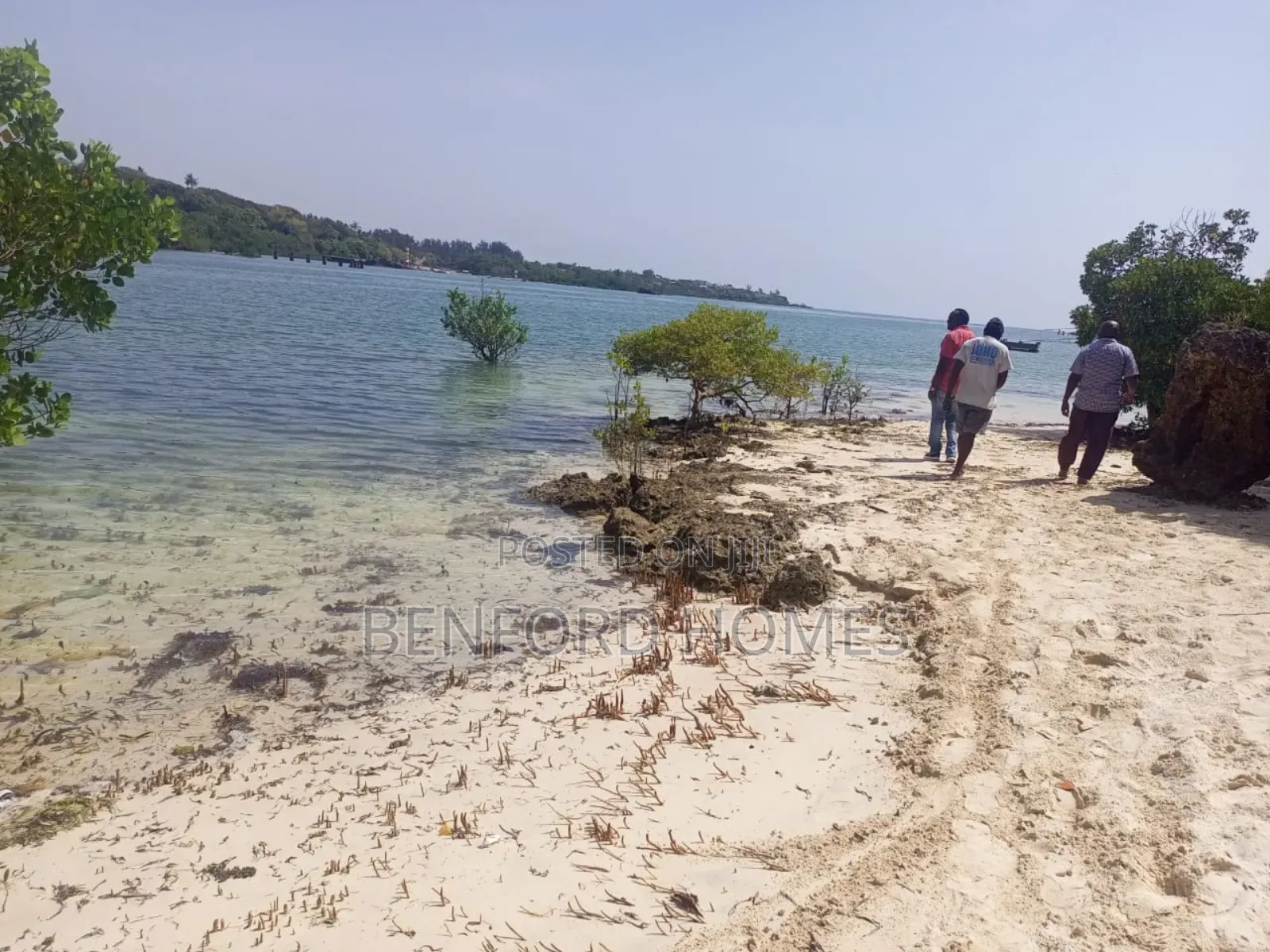 10 Acres Beach Property On Sale Shanzu Mombasa