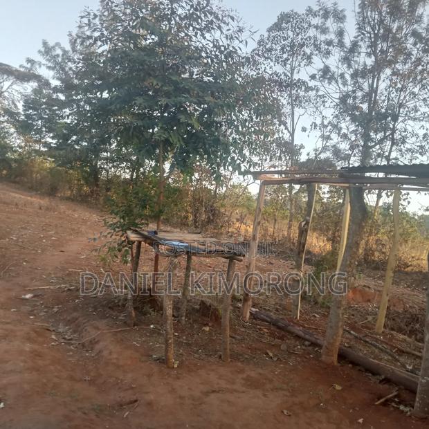 Land For Sala - thumbnail 3