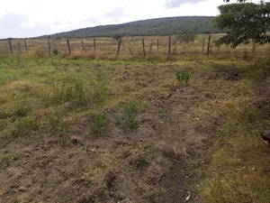 Two Acres for Sale Fronting Lake Nakuru National Park