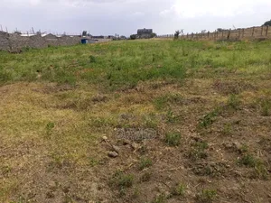Two Acres for Sale Fronting Lake Nakuru National Park