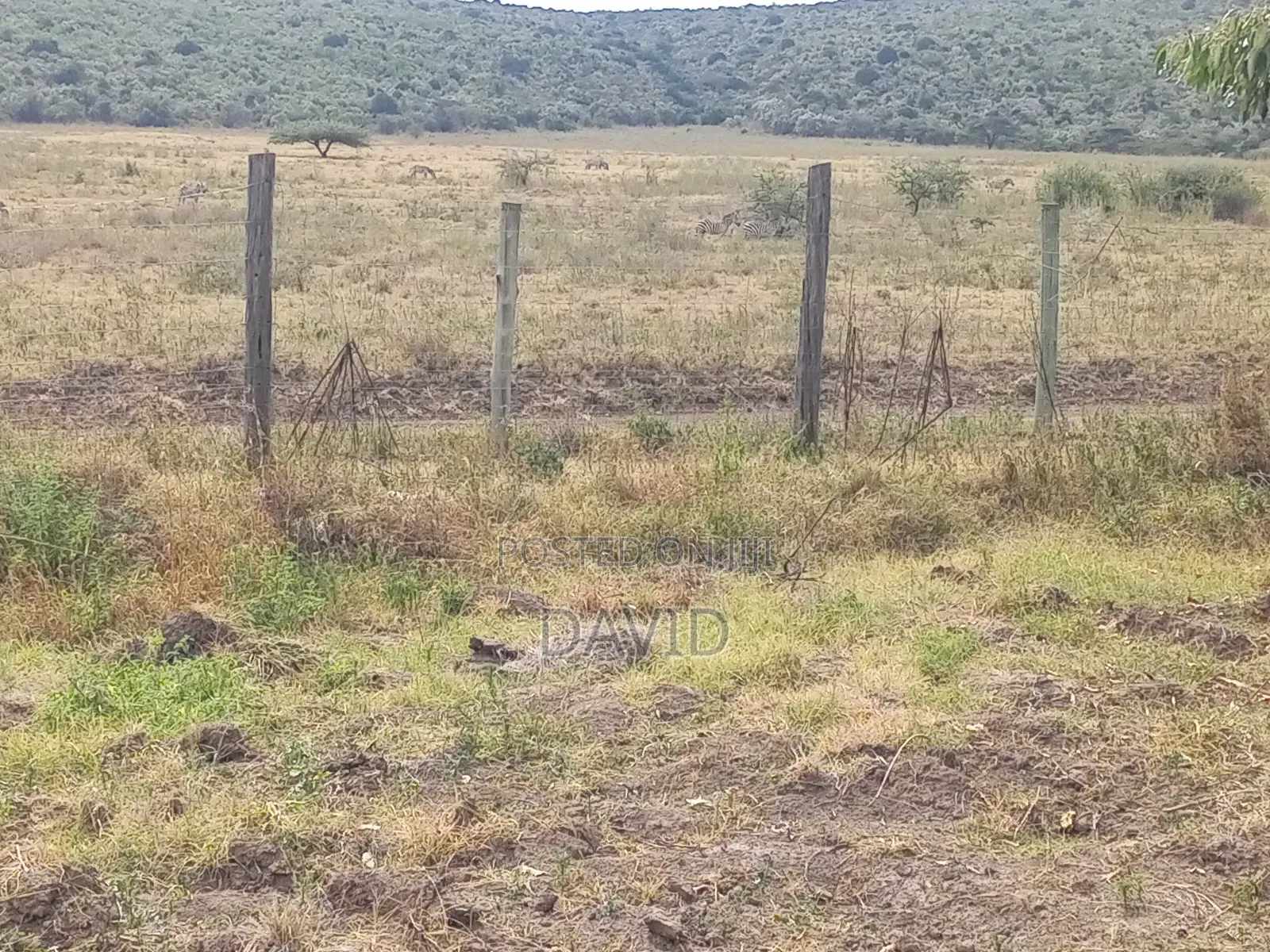 Two Acres for Sale Fronting Lake Nakuru National Park