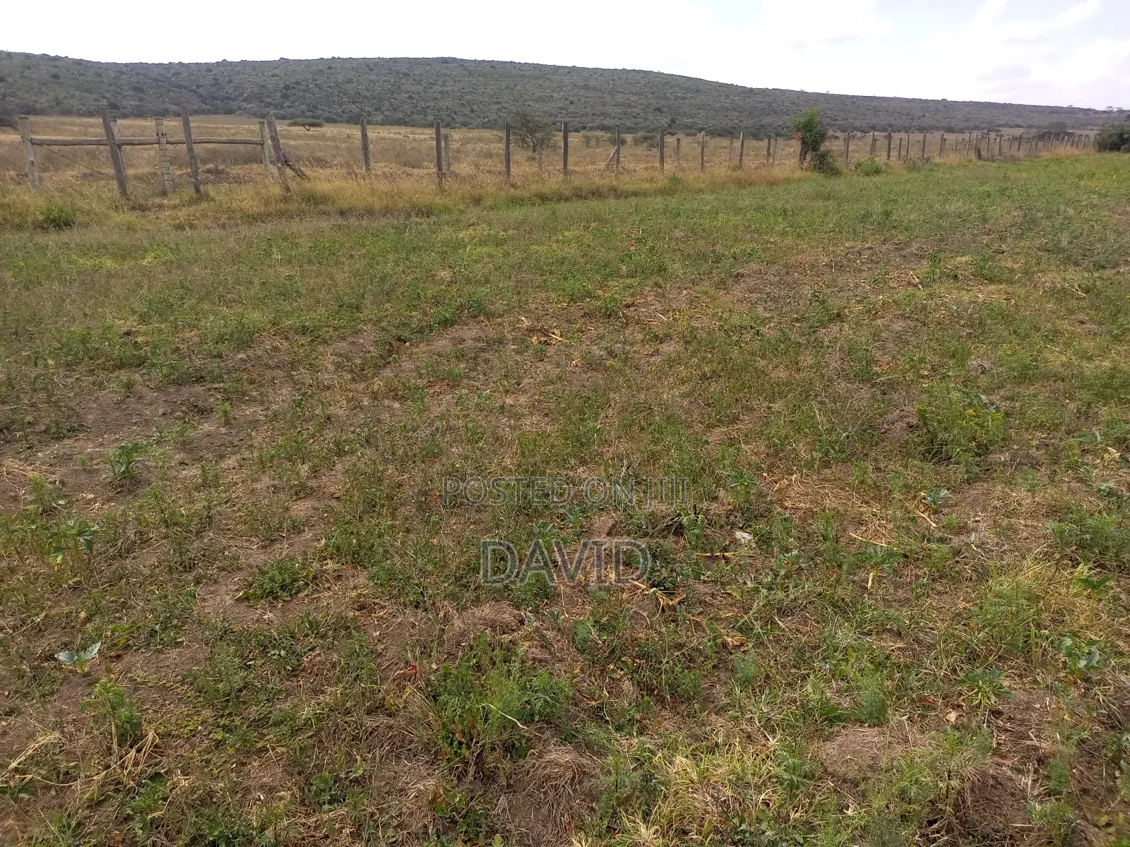 Two Acres for Sale Fronting Lake Nakuru National Park