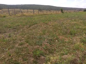 Two Acres for Sale Fronting Lake Nakuru National Park