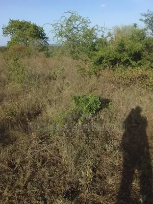6 Acres Wamunyu Selling at .Per Acre