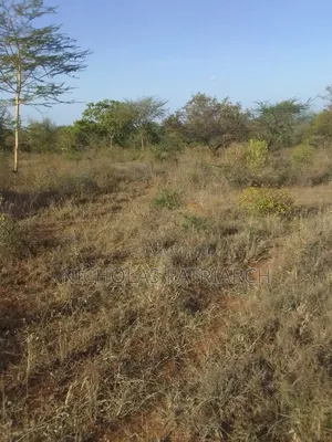 6 Acres Wamunyu Selling at .Per Acre