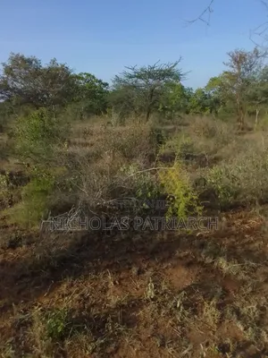 6 Acres Wamunyu Selling at .Per Acre
