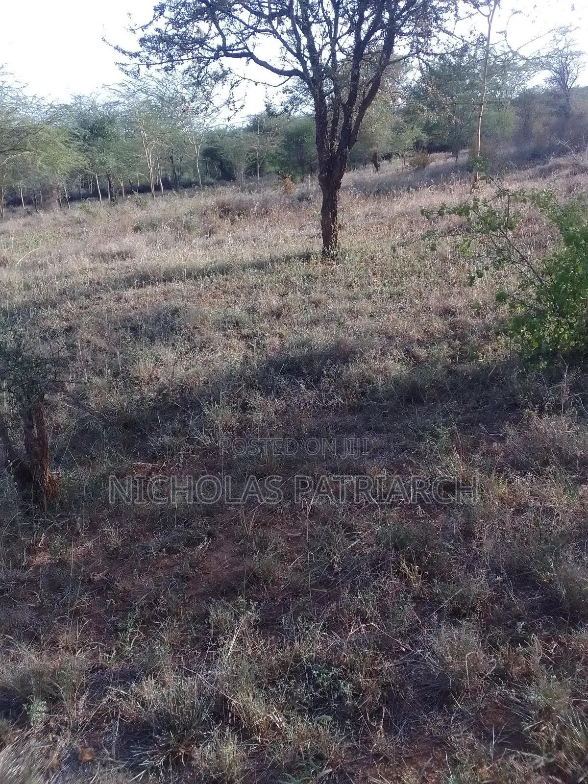 14 Acres Kathonzweni-Makueni Selling at Per Acre.
