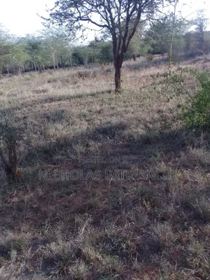 14 Acres Kathonzweni-Makueni Selling at Per Acre.