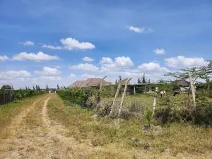 Eight Acre Plots in Ostrich Kitengela