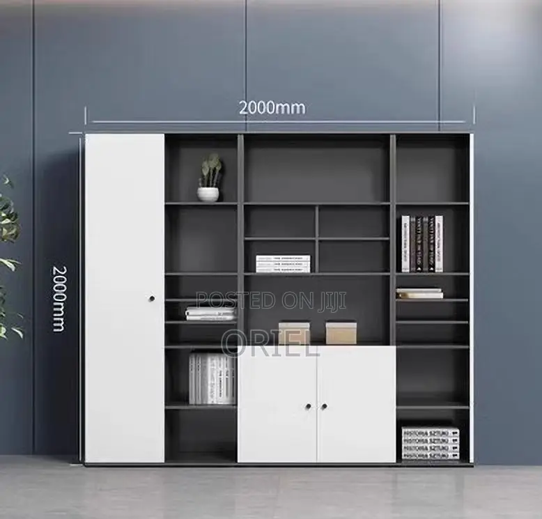 Modern Office Cabinet :