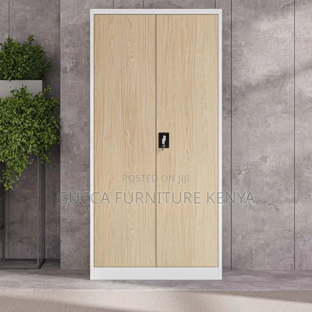 Modern 2-door Metallic Document Cabinet