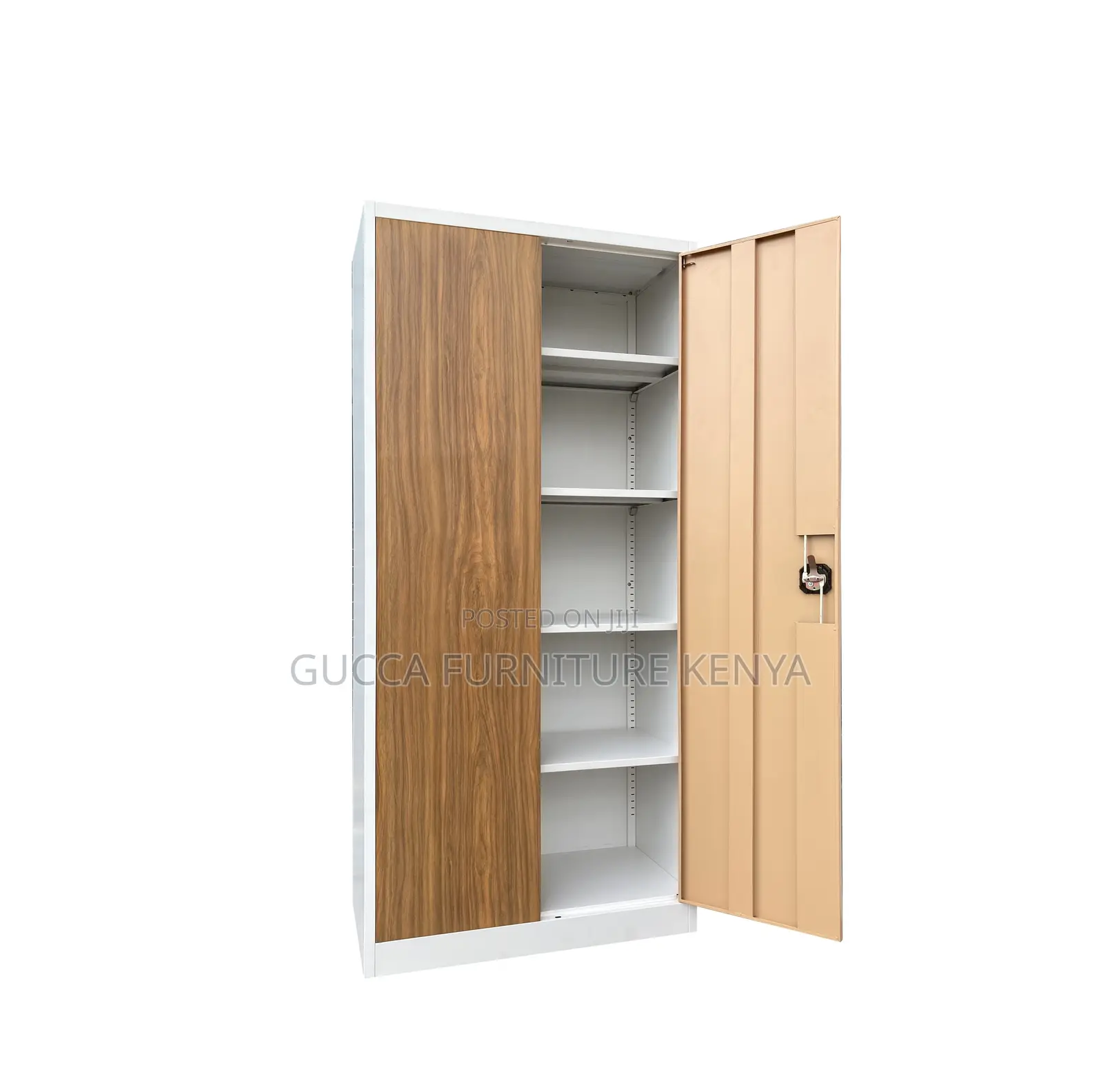 Modern 2-door Metallic Document Cabinet