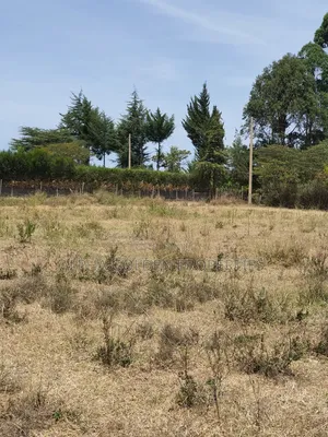 Plots in Airstrip Area
