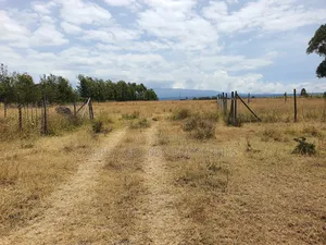 Plots in Airstrip Area
