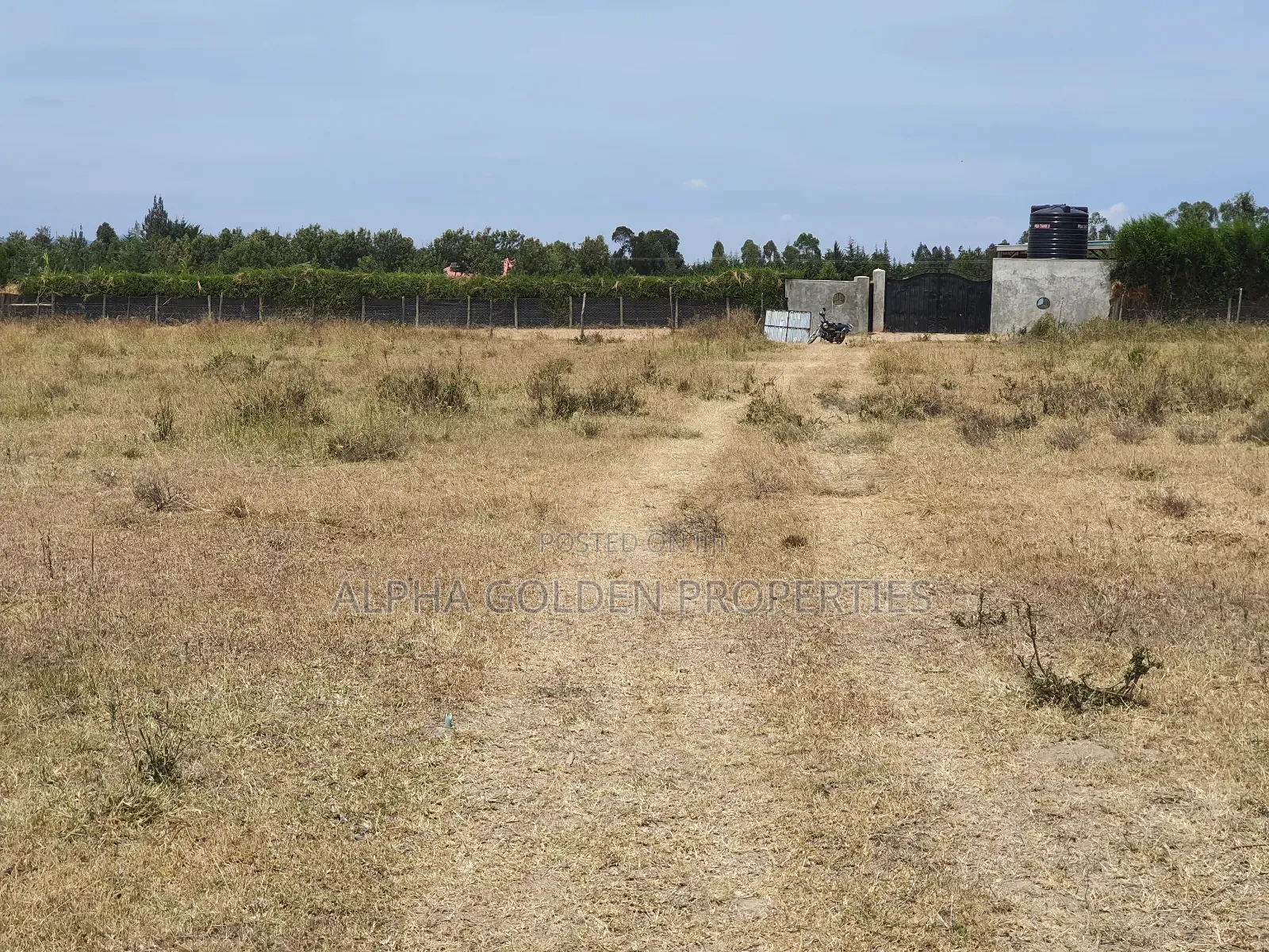 Plots in Airstrip Area