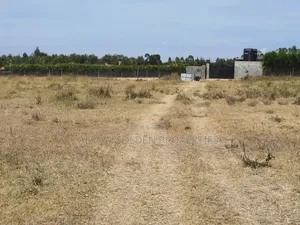 Plots in Airstrip Area