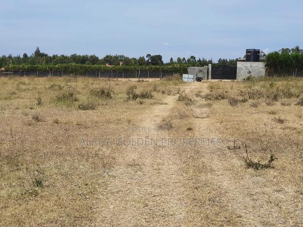 Plots in Airstrip Area - thumbnail 4