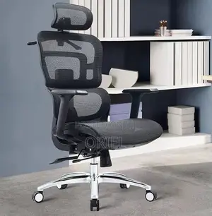 Modern Office Chair : Orthopedic Office Seat