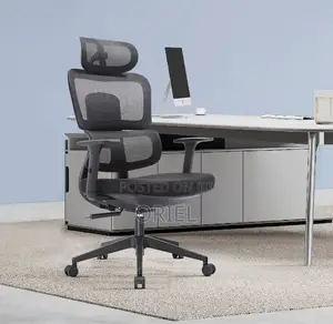 Modern Office Chair : Orthopedic Office Seat