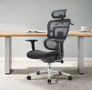 Modern Office Chair : Orthopedic Office Seat