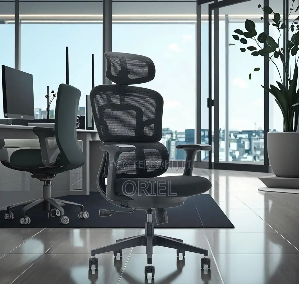 Modern Office Chair : Orthopedic Office Seat