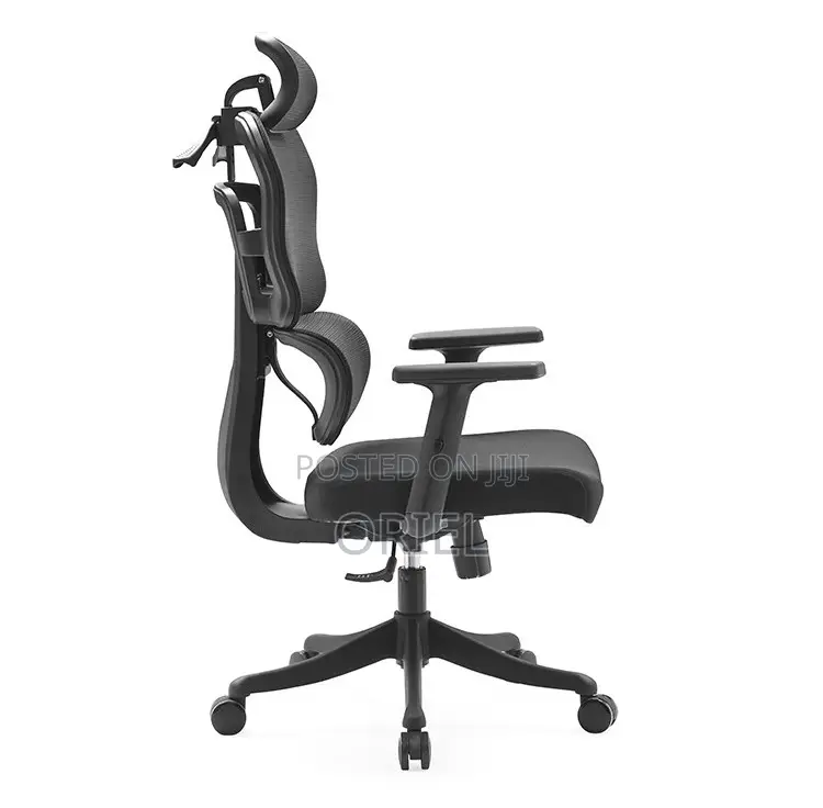 Modern Office Chair : Orthopedic Office Seat