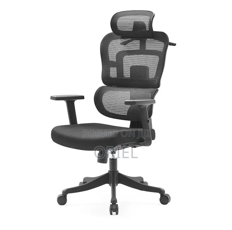 Modern Office Chair : Orthopedic Office Seat