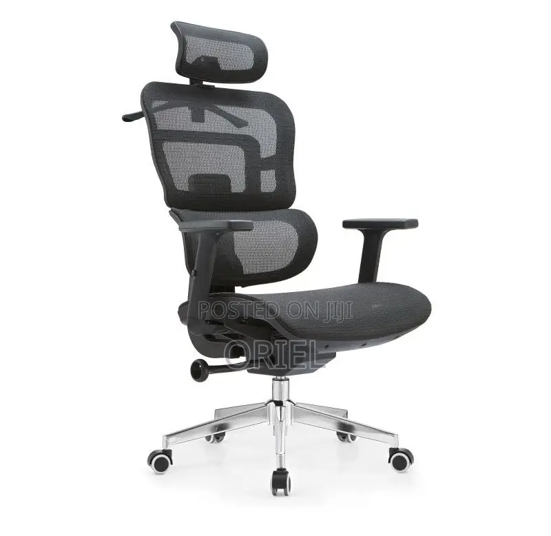 Modern Office Chair : Orthopedic Office Seat