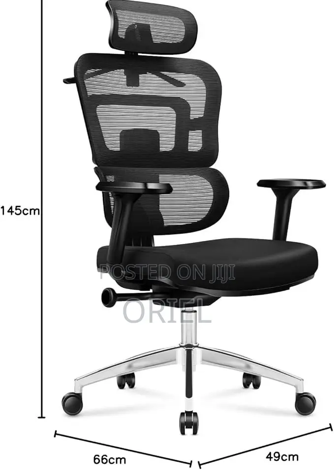 Modern Office Chair : Orthopedic Office Seat