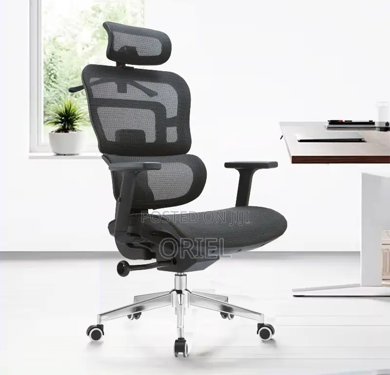 Modern Office Chair : Orthopedic Office Seat