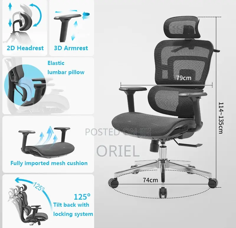 Modern Office Chair : Orthopedic Office Seat