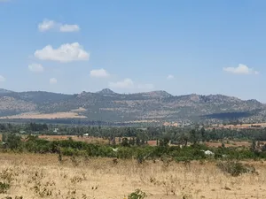 4 Acres in Ol Daiga