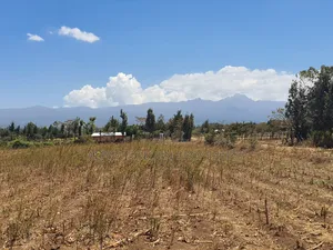 4 Acres in Ol Daiga