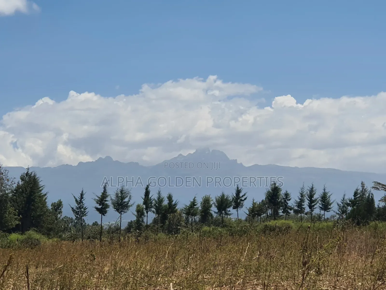 4 Acres in Ol Daiga