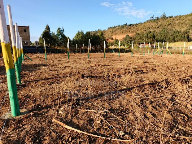 Plots for Sale - thumbnail 2