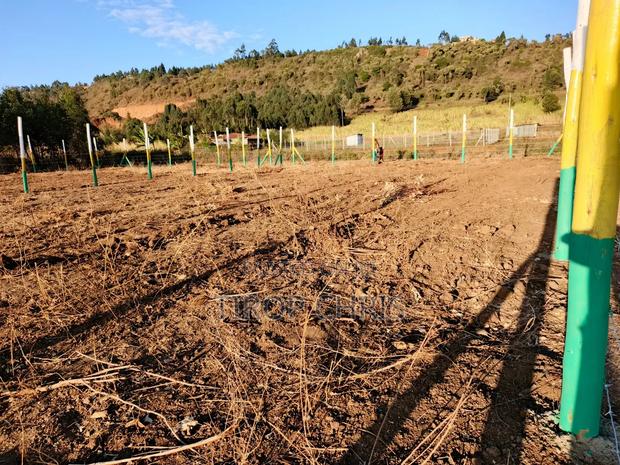 Plots for Sale - thumbnail 3