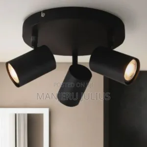 3way Ceiling Light