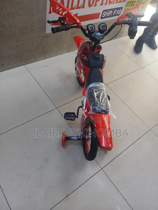 Nduthi Bike Size 20 - main view