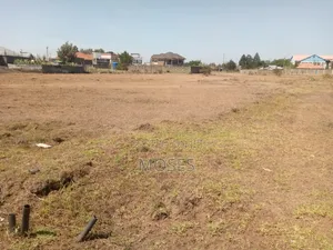 3/4 Acre on Sale in Thika Landless