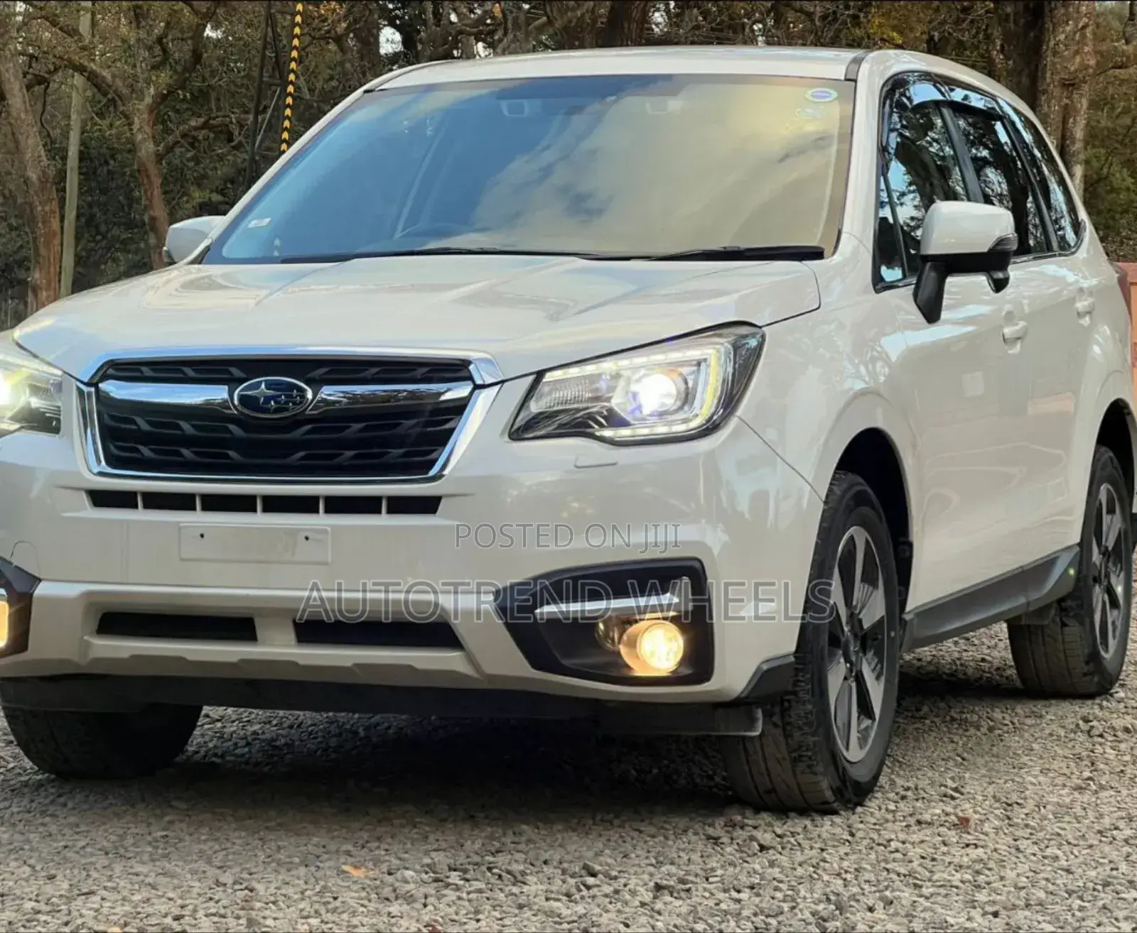 Subaru Forester Windscreen Replacement – From Kes 17,000