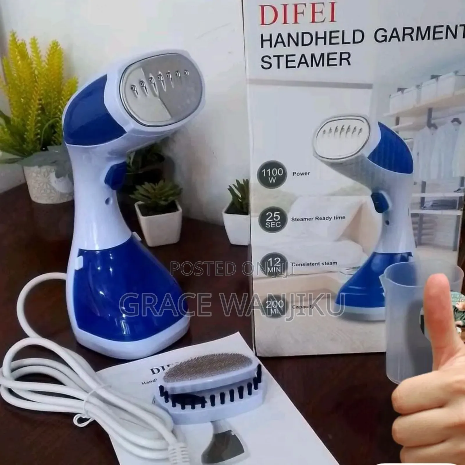 1100w 200ml Tank Difei Garment Steamer