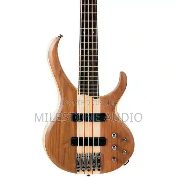Ibanez 5 String Bass Guitar - main view