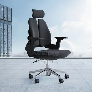Office Orthopedic Chair : Dual Backrests E Adjustable Office Chair