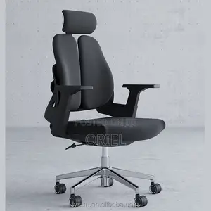 Office Orthopedic Chair : Dual Backrests E Adjustable Office Chair