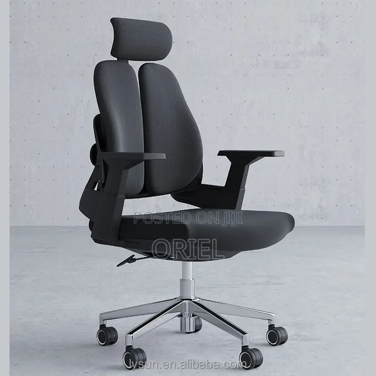 Office Orthopedic Chair : Dual Backrests E Adjustable Office Chair