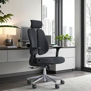 Office Orthopedic Chair : Dual Backrests E Adjustable Office Chair