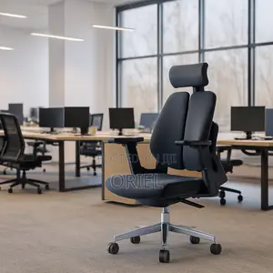 Office Orthopedic Chair : Dual Backrests E Adjustable Office Chair