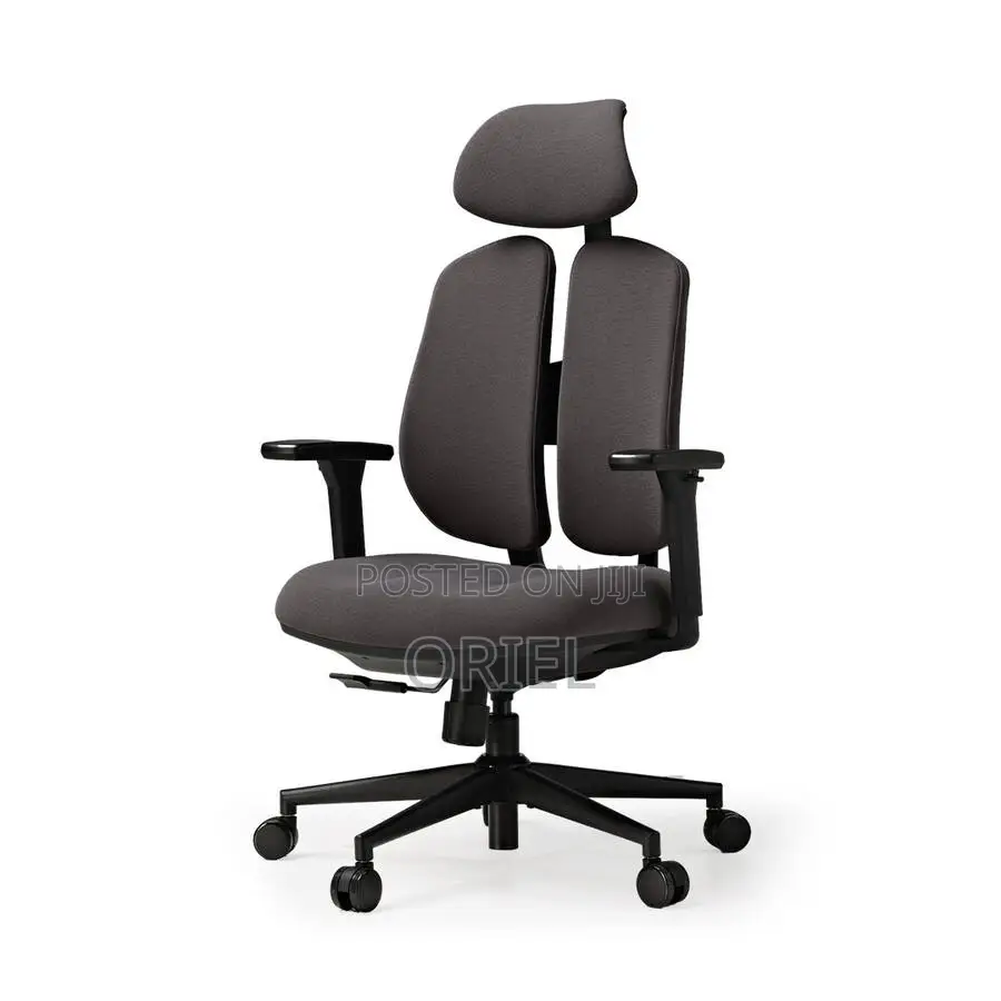 Office Orthopedic Chair : Dual Backrests E Adjustable Office Chair