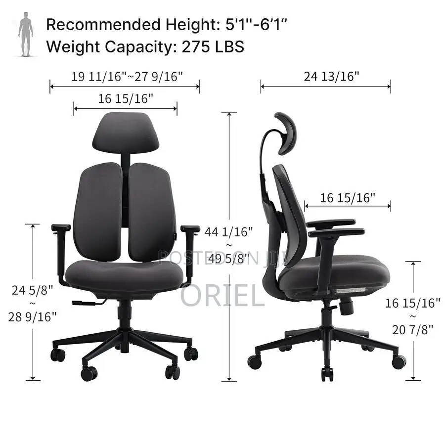 Office Orthopedic Chair : Dual Backrests E Adjustable Office Chair